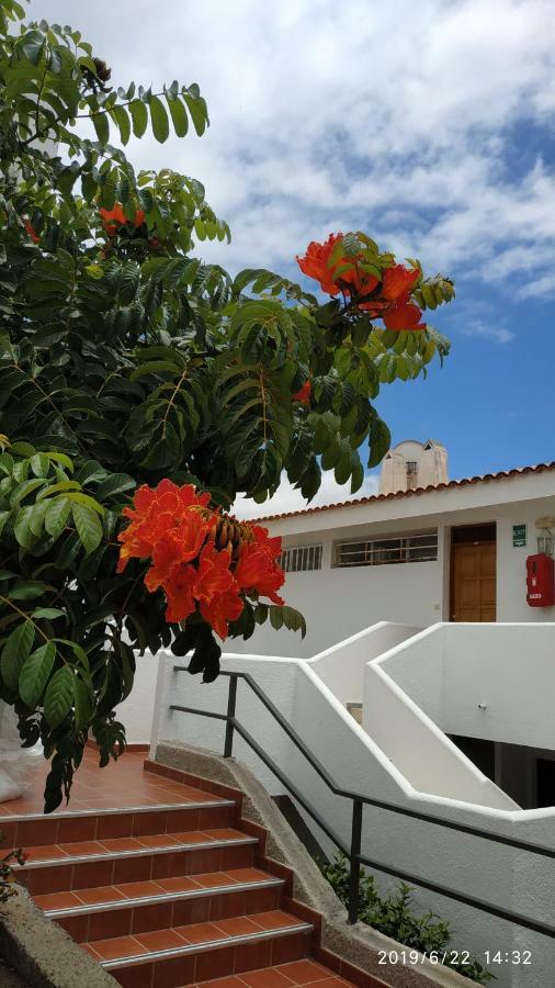 Club El Paradero Playa de las Americas  Exterior foto